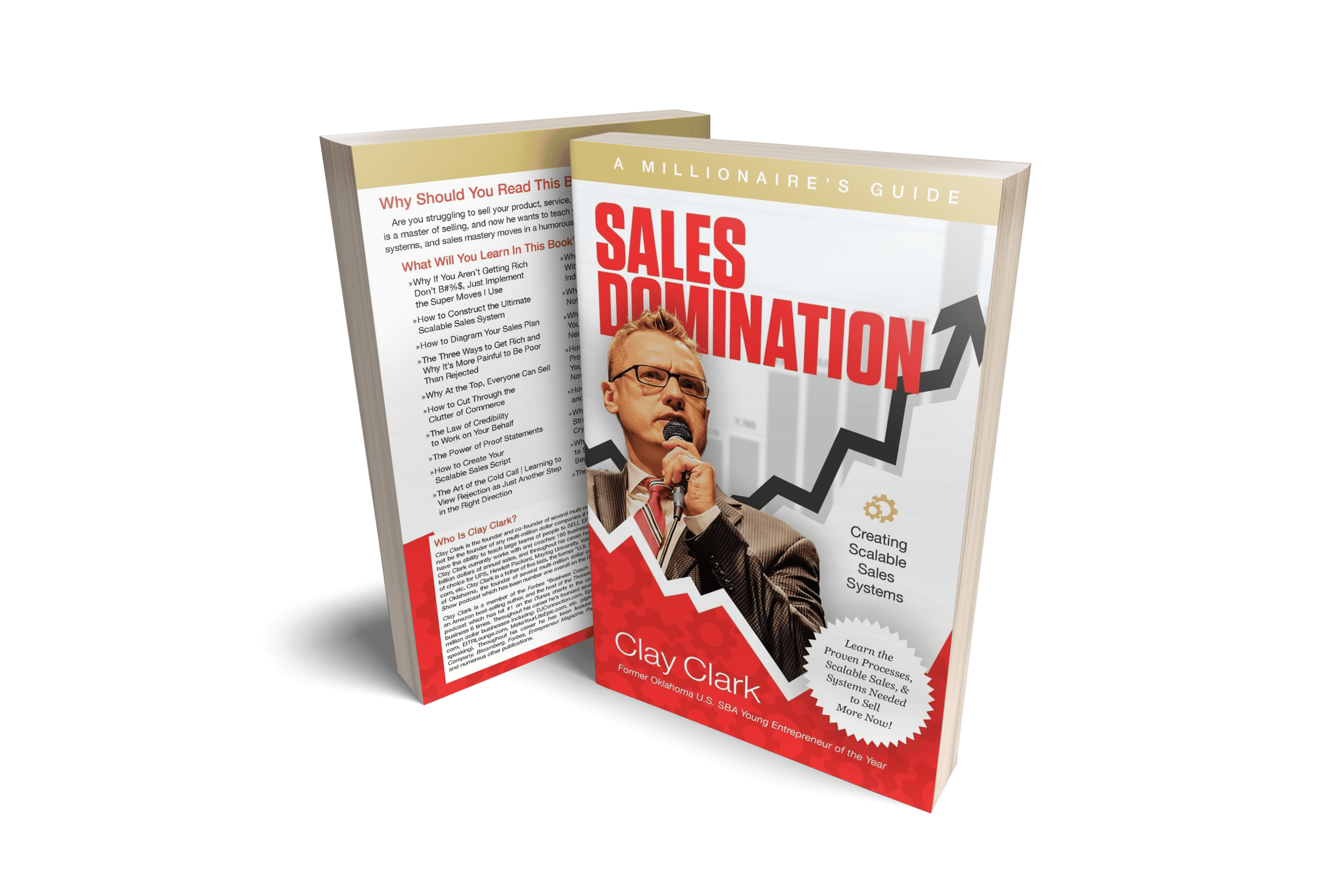 Sales Domination A Millionaire's Guide Cover