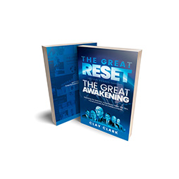 Best Business Books The Great Reset Vs The Great Awakening Cover