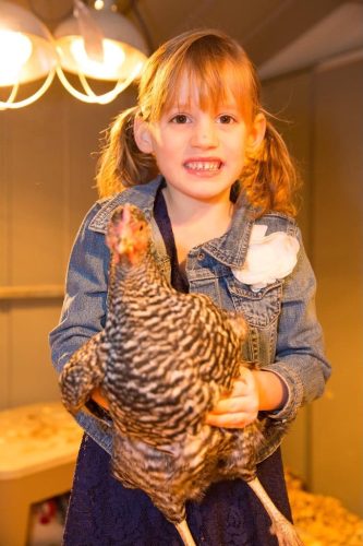 85-6-x-4-Scarlett-Clark-With-Chicken