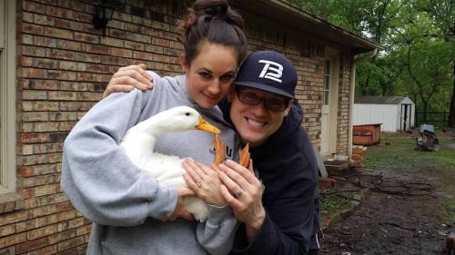 Clay-Clark-Gallery-Clay-Clark-Duck